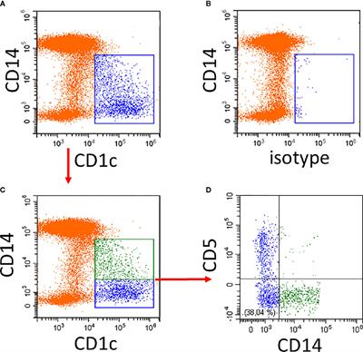 Subsets of CD1c+ DCs: Dendritic Cell Versus Monocyte Lineage